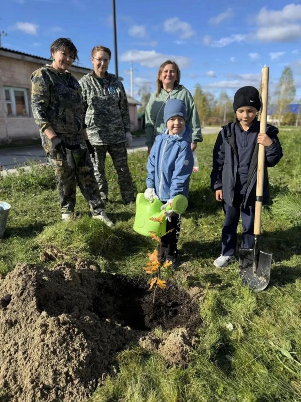 Зеленоборск стал еще зеленее! Зеленоборск стал еще зеленее!