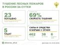 За прошедшие сутки в 7 регионах России потушили 23 лесных пожара