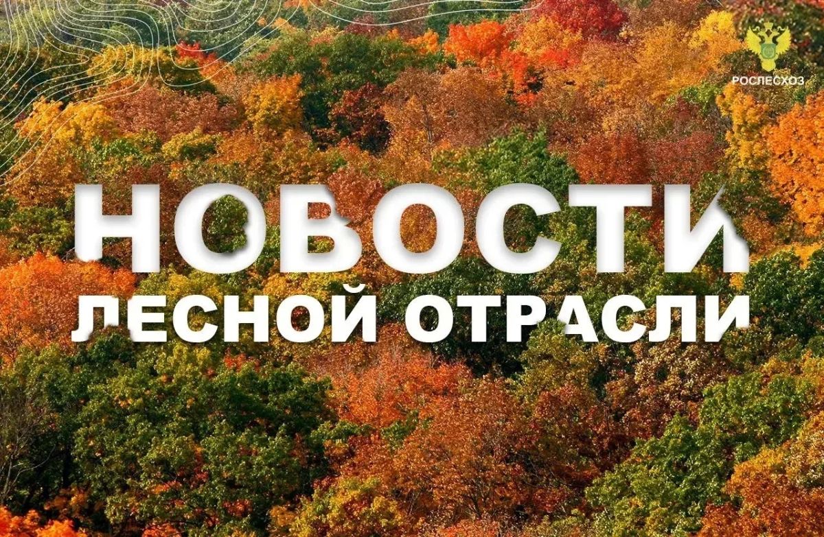 Российская газета: Мишустин: 10 регионам возместят затраты на тушение лесных пожаров