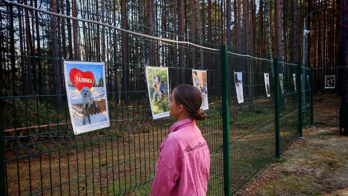 В Октябрьском районе открылась необычная фотовыставка В Октябрьском районе открылась необычная фотовыставка