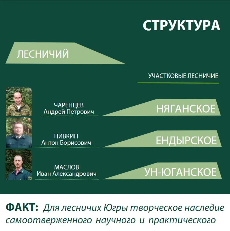 Передать будущим поколениям живой лес Передать будущим поколениям живой лес