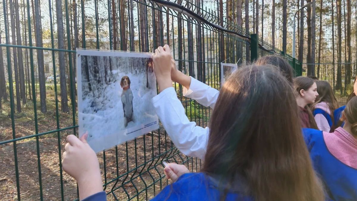 В Октябрьском районе открылась необычная фотовыставка
