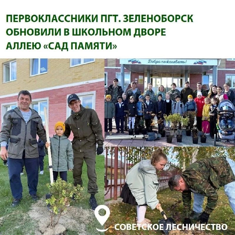 В Югре заложили новые аллеи и высадили кедры, рябины и голубые ели В Югре заложили новые аллеи и высадили кедры, рябины и голубые ели