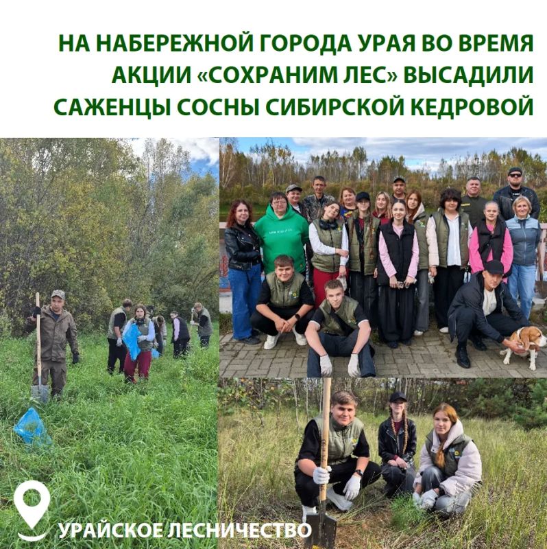В Югре продолжаются осенние дни древонасаждений В Югре продолжаются осенние дни древонасаждений