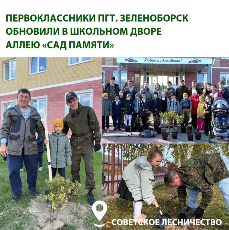 В Югре продолжаются осенние дни древонасаждений В Югре продолжаются осенние дни древонасаждений