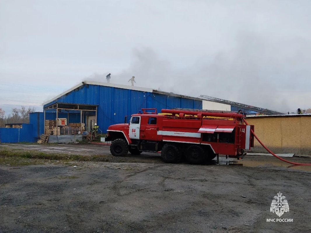 Огнеборцы МЧС Югры ликвидировали пожар в магазине в Пыть-Яхе Огнеборцы МЧС Югры ликвидировали пожар в магазине в Пыть-Яхе