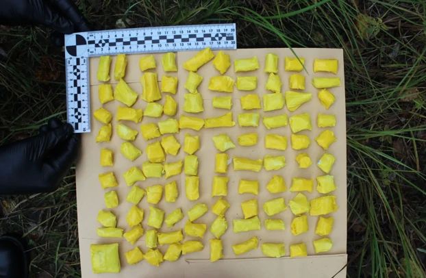 В Югорске сотрудники полиции задержали жителя Кирова по подозрению в незаконном обороте наркотиков В Югорске сотрудники полиции задержали жителя Кирова по подозрению в незаконном обороте наркотиков