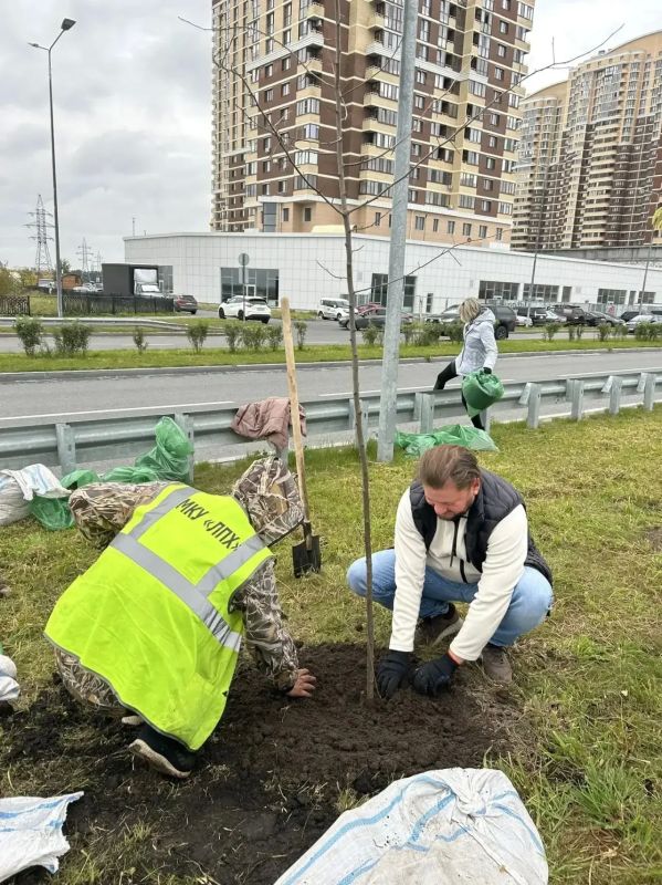 В Сургуте состоялась акция «Аллея предпринимателей» В Сургуте состоялась акция «Аллея предпринимателей»