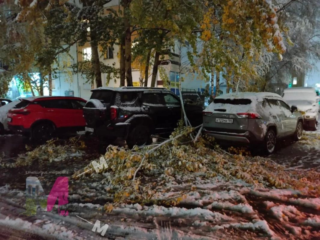 Последствия непогоды в Сургуте Последствия непогоды в Сургуте