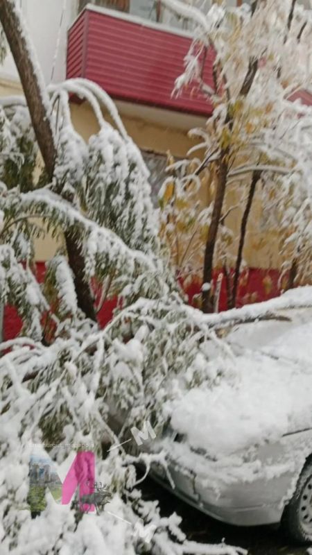 Последствия непогоды в Сургуте Последствия непогоды в Сургуте
