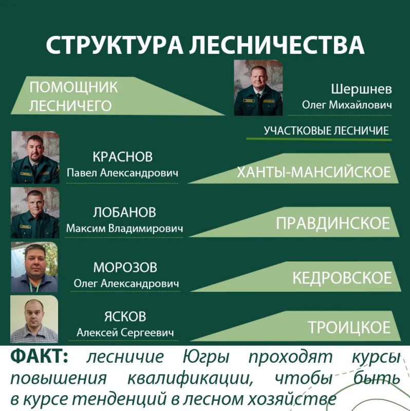 Самаровское лесничество: хранит историю, бережет будущее Самаровское лесничество: хранит историю, бережет будущее