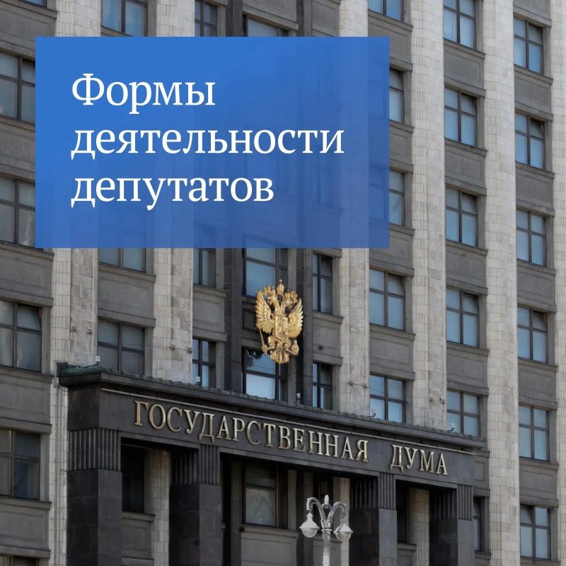 Какие задачи возложены на депутатов Госдумы согласно Конституции РФ и ФЗ «О статусе сенатора Российской Федерации;