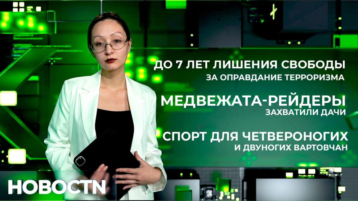 Югорчанина будут судить за оправдание терроризма – он оставлял комментарии в телеграме