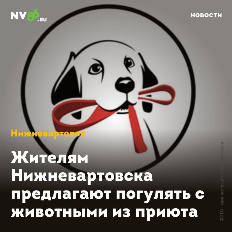 Жителям Нижневартовска предлагают погулять с животными из приюта