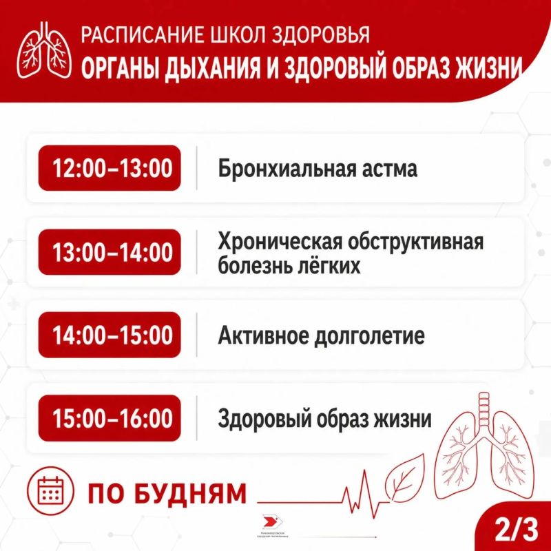 Профилактика заболеваний - основа сохранения здоровья и активного долголетия Профилактика заболеваний - основа сохранения здоровья и активного долголетия
