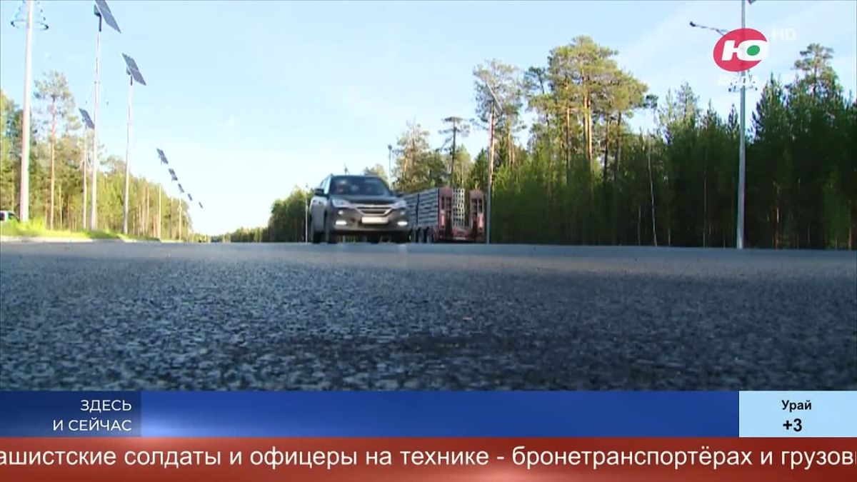 Югорские охотники потеряли интерес к косолапому