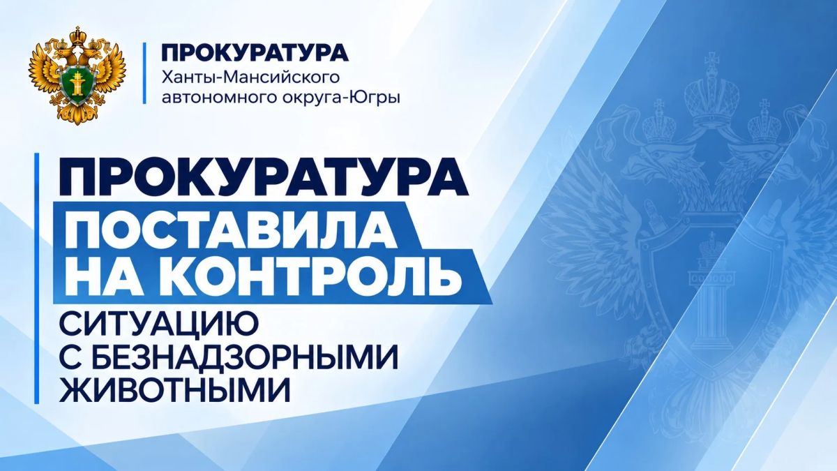 По поручению прокурора автономного округа Дмитрия Попова прокуратура города Нижневартовска организовала проверку по публикации в СМИ о нападении безнадзорной собаки на несовершеннолетних