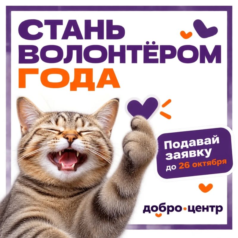Городской конкурс «Волонтёр года — 2026» ждёт своих звёзд