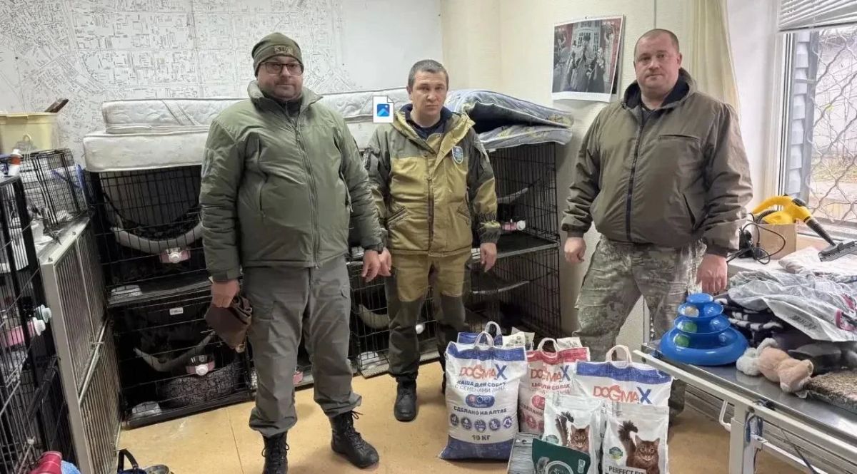 «Коробка добра»: вместе к лучшему! «Коробка добра»: вместе к лучшему!