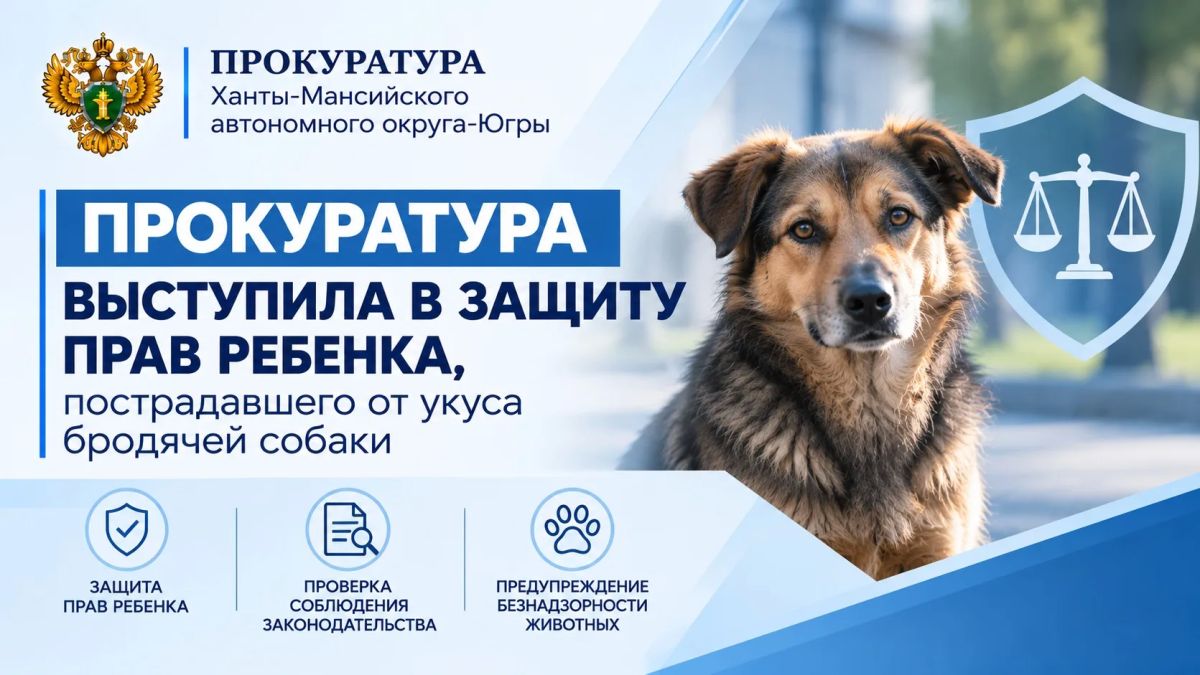 В городе Урае во время прогулки на мальчика напала безнадзорная собака