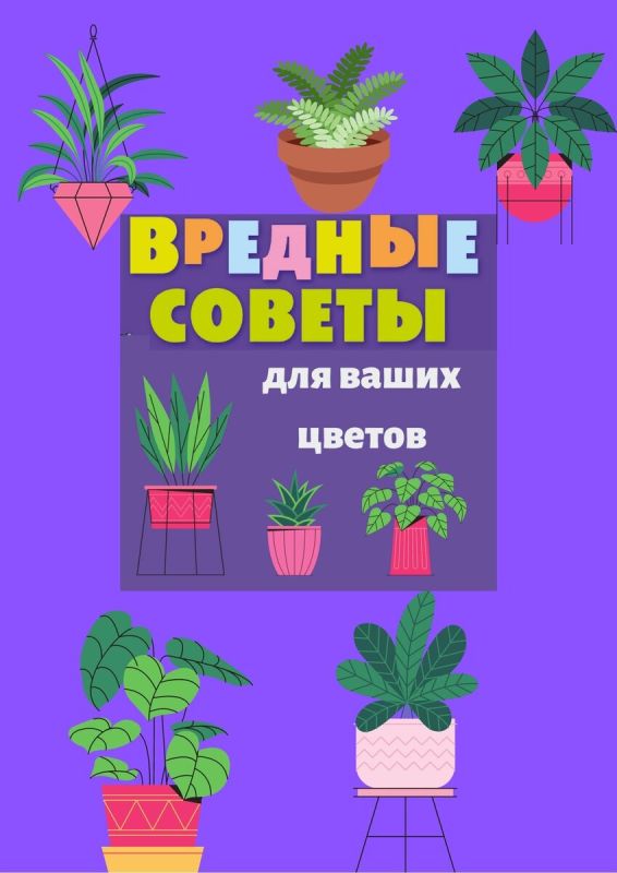 Ржавые гвозди и банановая кожура: три сомнительных совета по уходу за комнатными растениями