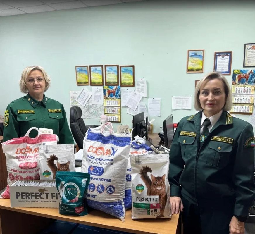 «Коробка добра»: вместе к лучшему!
