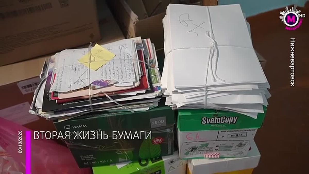 Около ста килограммов макулатуры спасает одно дерево от вырубки