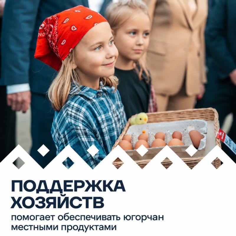 За первое полугодие 2026 года сельхозорганизации округа произвели 20,8 млн яиц — на 18,8% больше, чем за тот же период прошлого года