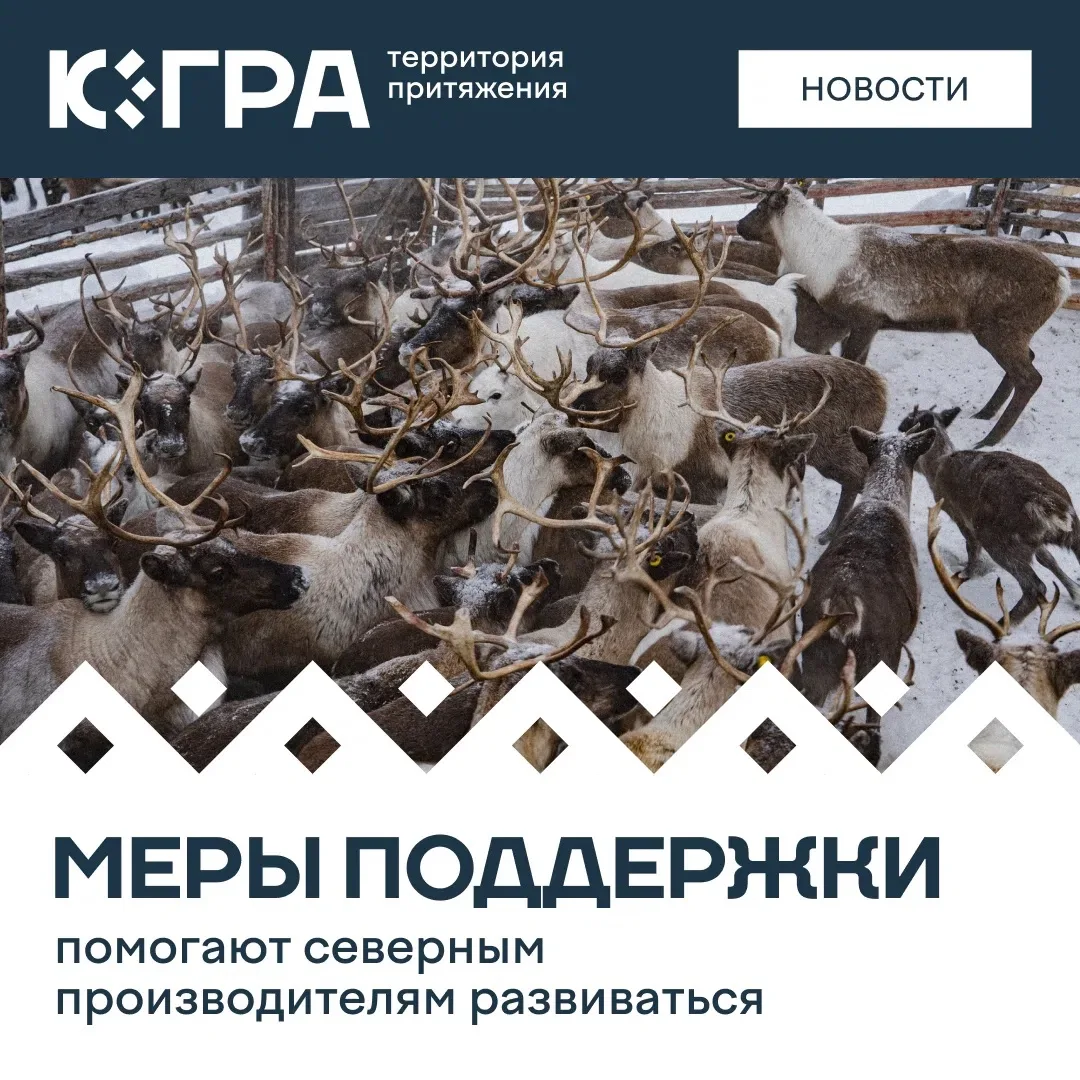 В условиях короткого лета и сложной логистики местные хозяйства обеспечивают югорчан свежей продукцией